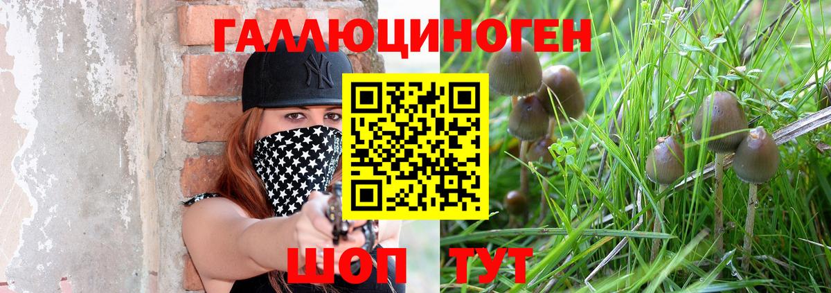 Галлюциногенные грибы Cubensis Северобайкальск